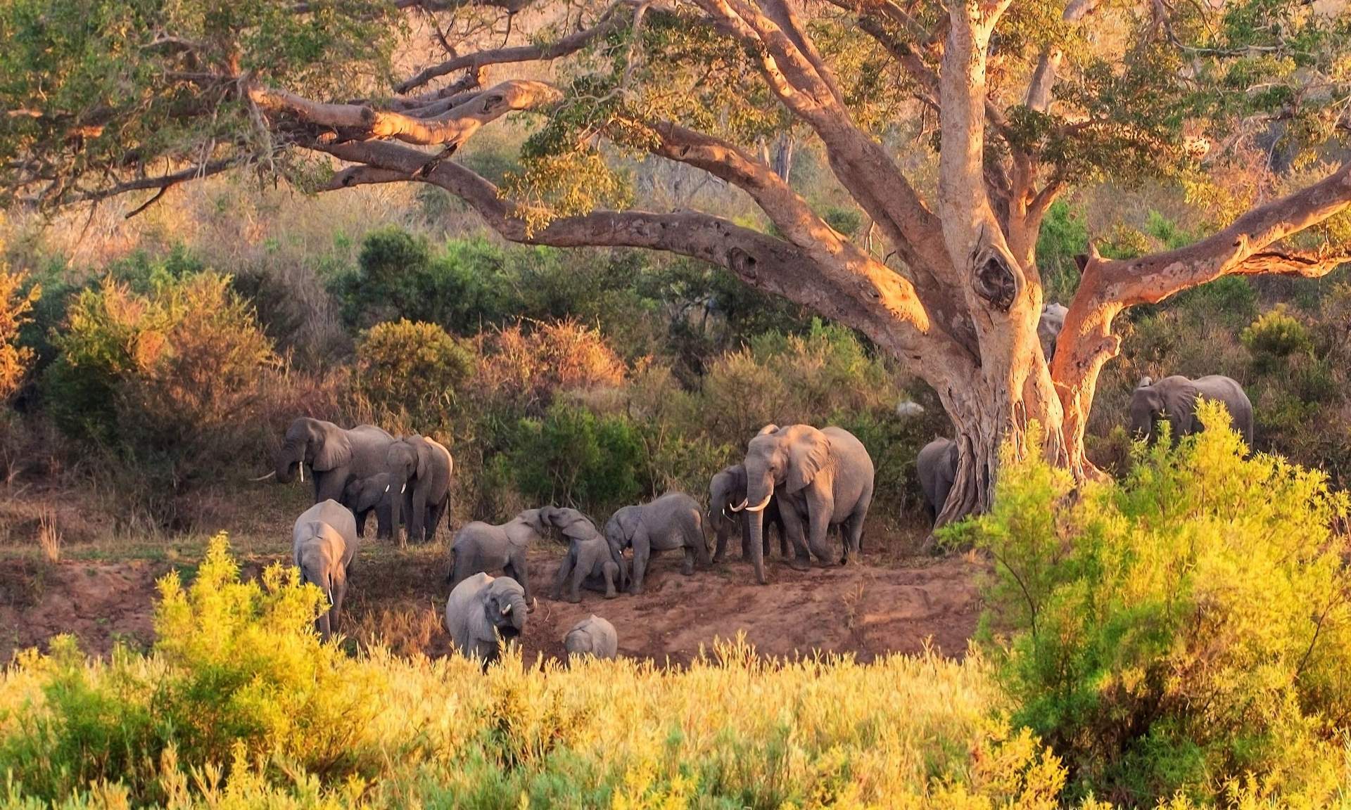 1720672517_455_14.lielākais nacionālais parks pasaulē no Sagarmatas līdz Galapagu salām