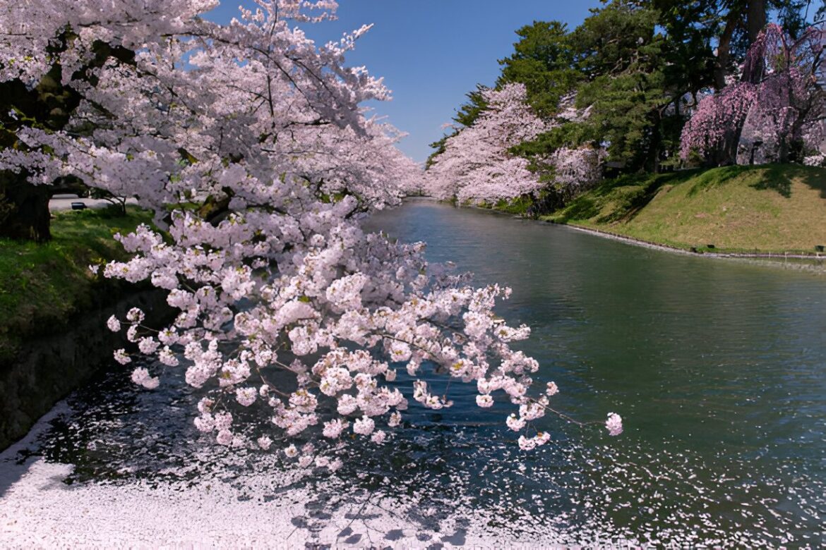 7 pārsteidzoši ryokans Japānā