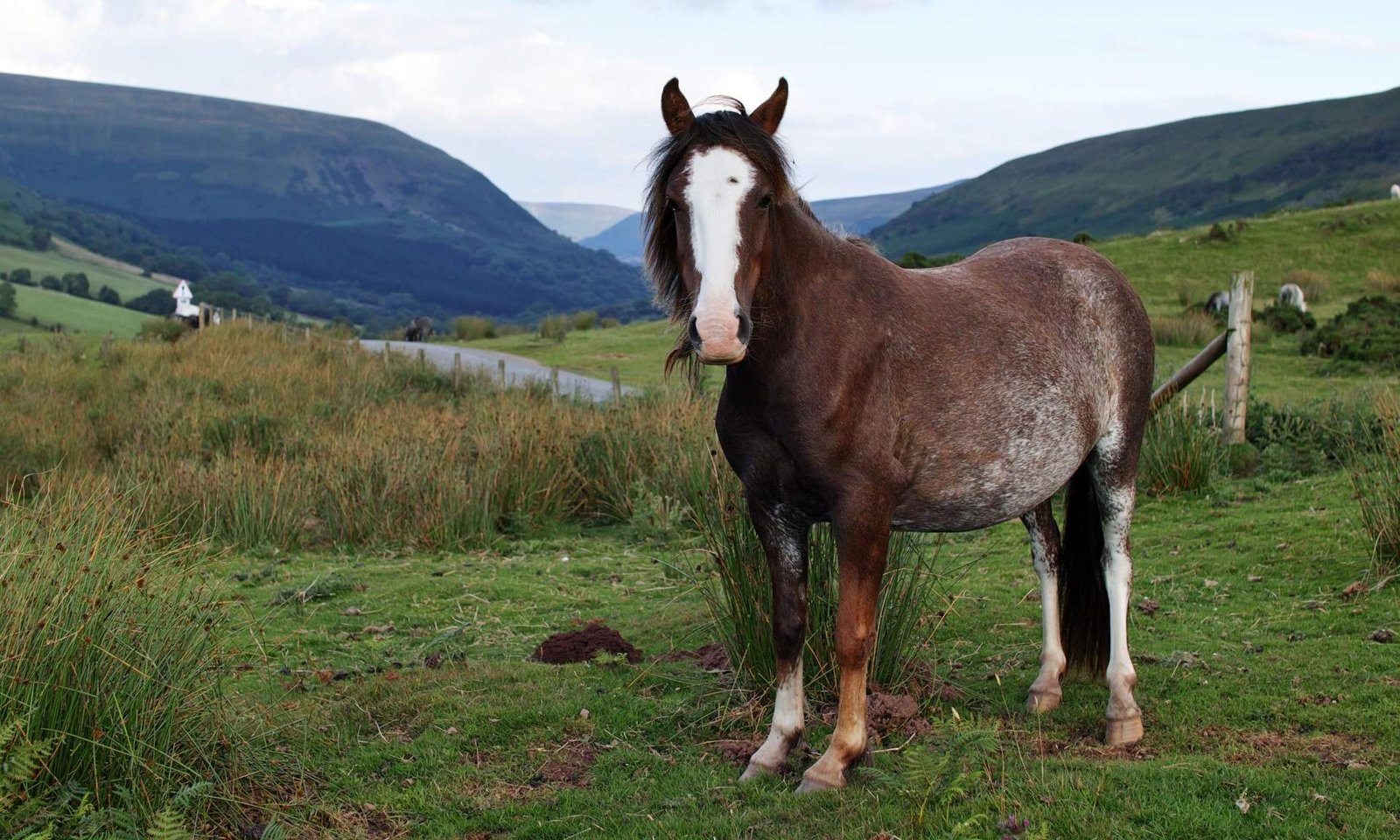 1728813373_282_5-must-try-outdoor-activities-in-Brecon-Beacons